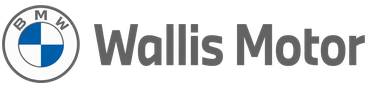 Wallis-Motor-logo-368×89